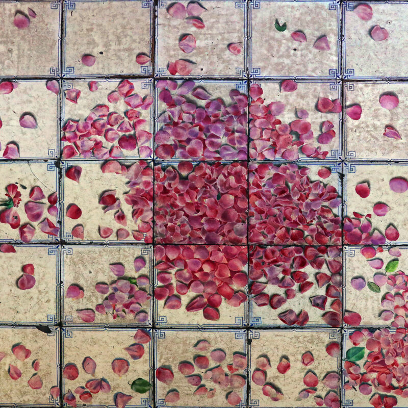 Programma Marzo 2026